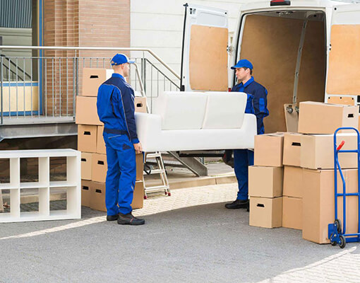 Logistics & Shipping